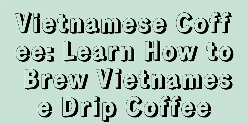 Vietnamese Coffee: Learn How to Brew Vietnamese Drip Coffee