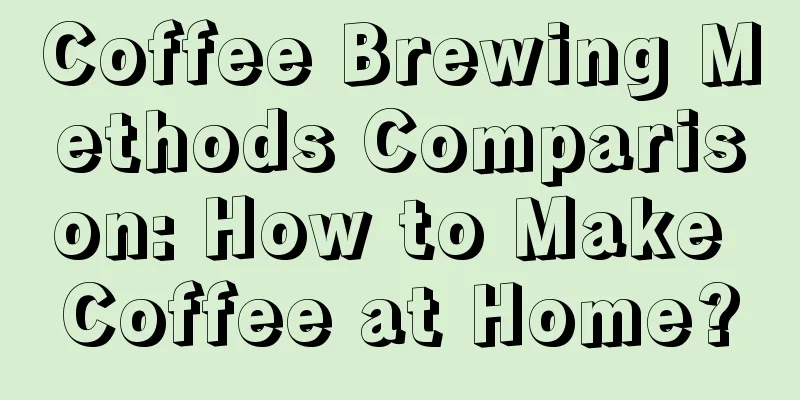 Coffee Brewing Methods Comparison: How to Make Coffee at Home?