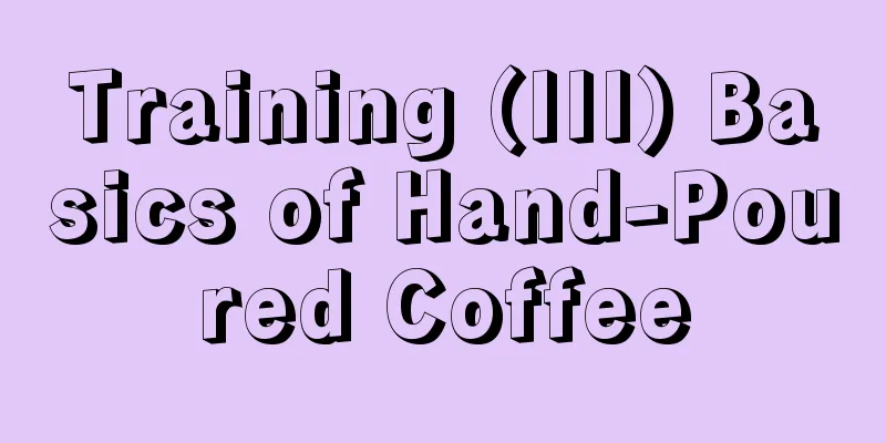 Training (III) Basics of Hand-Poured Coffee