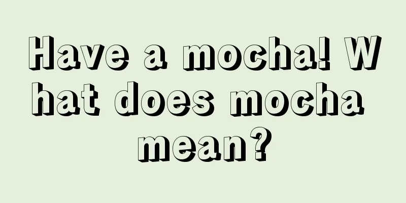 Have a mocha! What does mocha mean?