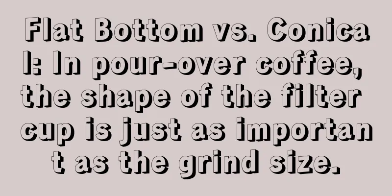 Flat Bottom vs. Conical: In pour-over coffee, the shape of the filter cup is just as important as the grind size.