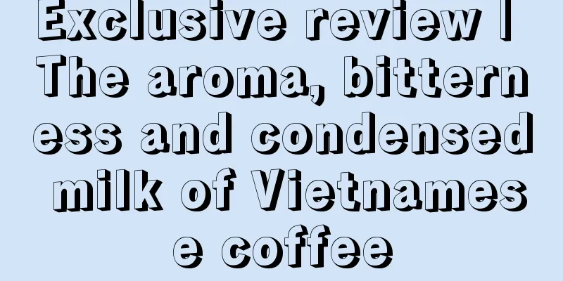 Exclusive review | The aroma, bitterness and condensed milk of Vietnamese coffee