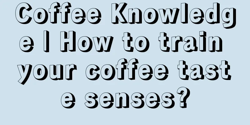 Coffee Knowledge | How to train your coffee taste senses?