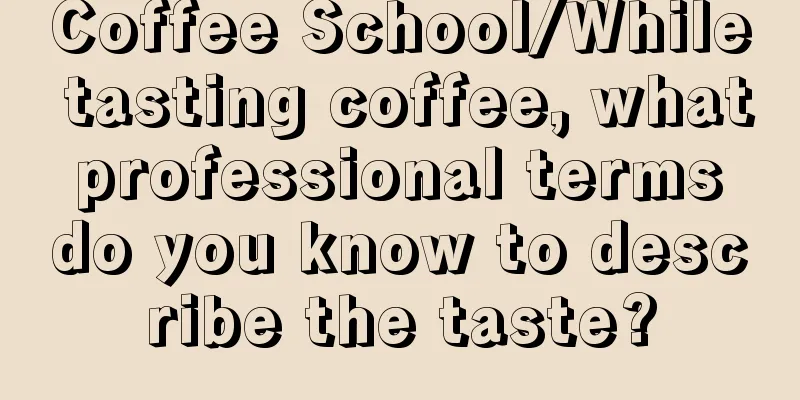 Coffee School/While tasting coffee, what professional terms do you know to describe the taste?