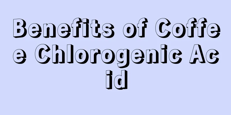 Benefits of Coffee Chlorogenic Acid