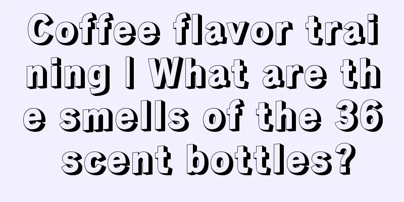 Coffee flavor training | What are the smells of the 36 scent bottles?