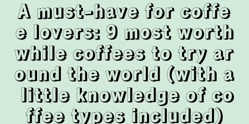 A must-have for coffee lovers: 9 most worthwhile coffees to try around the world (with a little knowledge of coffee types included)