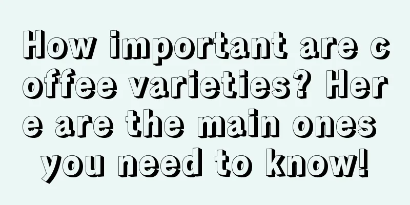 How important are coffee varieties? Here are the main ones you need to know!