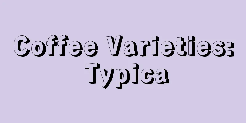 Coffee Varieties: Typica