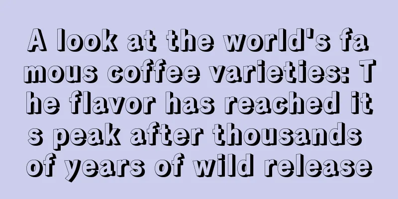 A look at the world's famous coffee varieties: The flavor has reached its peak after thousands of years of wild release