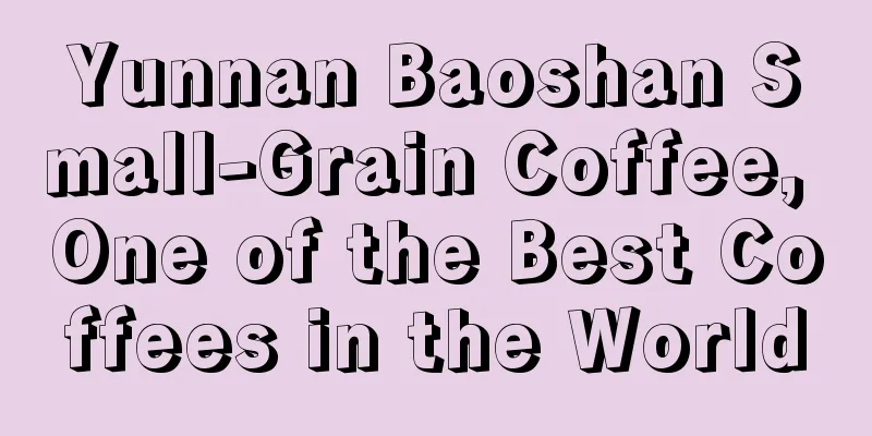 Yunnan Baoshan Small-Grain Coffee, One of the Best Coffees in the World