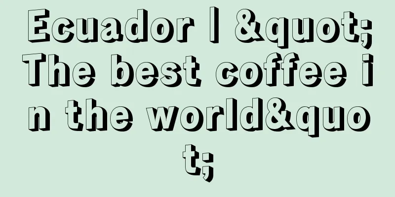 Ecuador｜"The best coffee in the world"