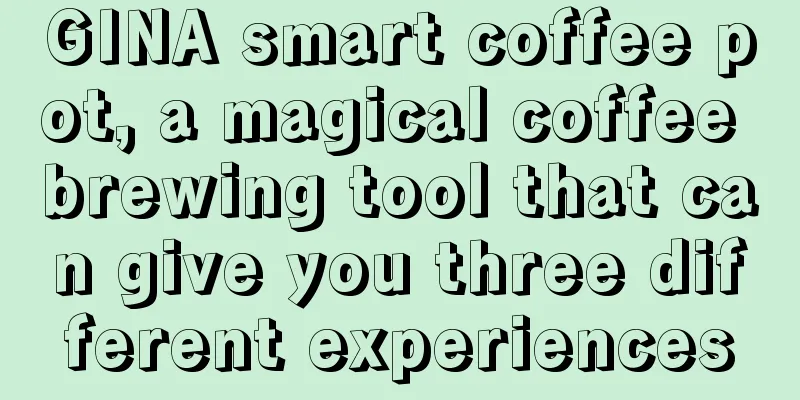 GINA smart coffee pot, a magical coffee brewing tool that can give you three different experiences