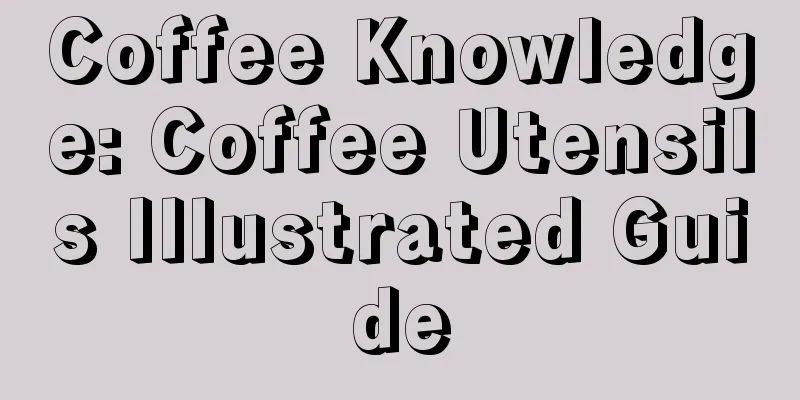 Coffee Knowledge: Coffee Utensils Illustrated Guide