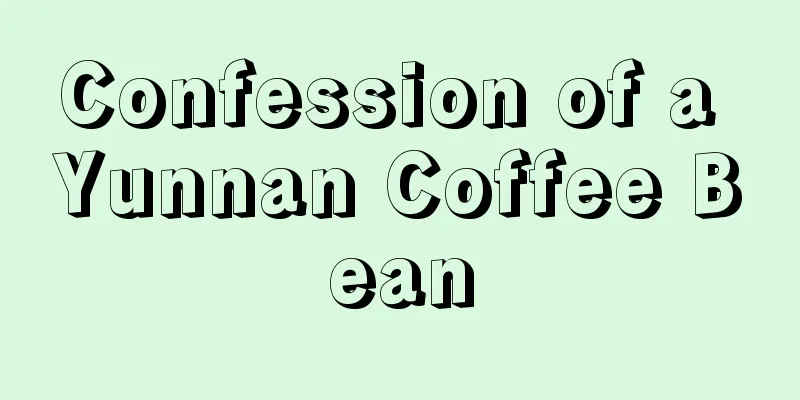 Confession of a Yunnan Coffee Bean