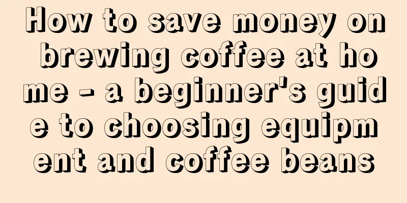 How to save money on brewing coffee at home - a beginner's guide to choosing equipment and coffee beans