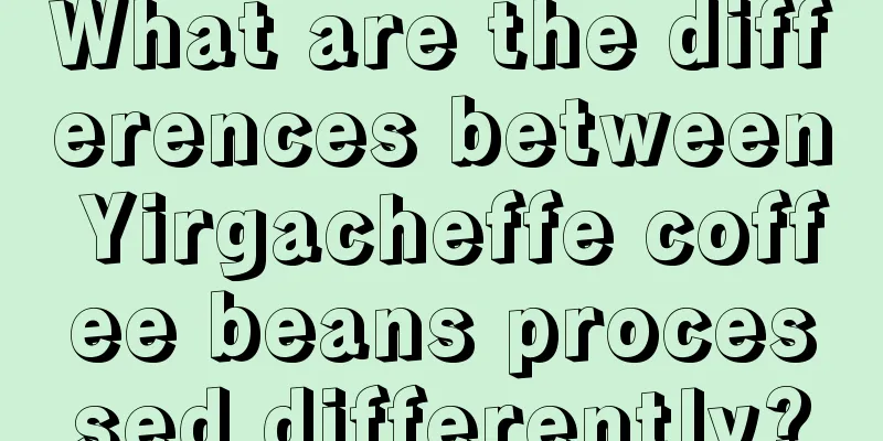 What are the differences between Yirgacheffe coffee beans processed differently?