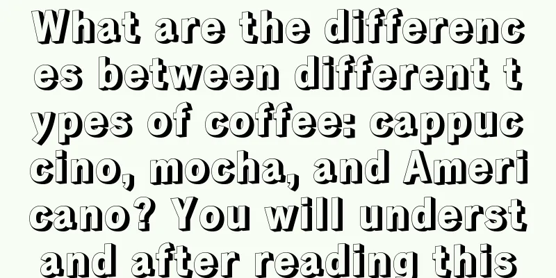 What are the differences between different types of coffee: cappuccino, mocha, and Americano? You will understand after reading this