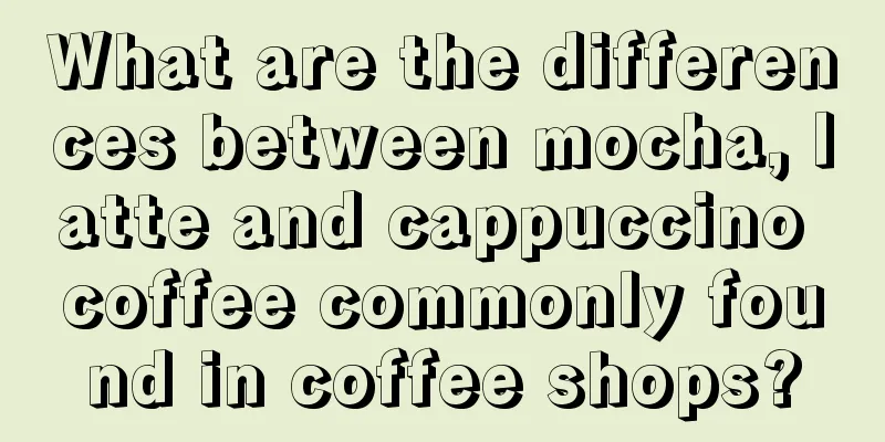 What are the differences between mocha, latte and cappuccino coffee commonly found in coffee shops?