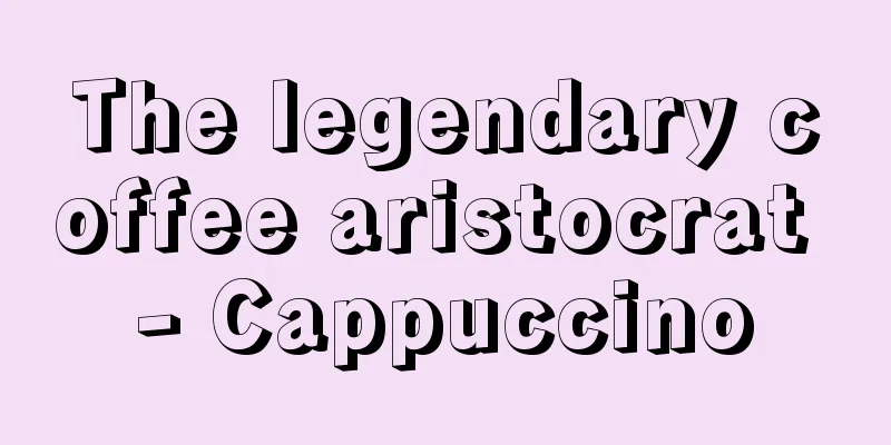 The legendary coffee aristocrat - Cappuccino