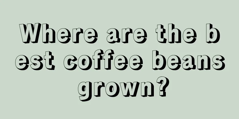 Where are the best coffee beans grown?