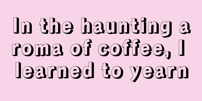 In the haunting aroma of coffee, I learned to yearn