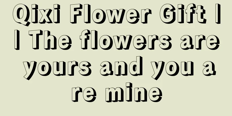 Qixi Flower Gift || The flowers are yours and you are mine