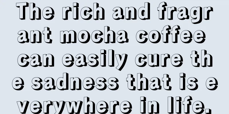 The rich and fragrant mocha coffee can easily cure the sadness that is everywhere in life.