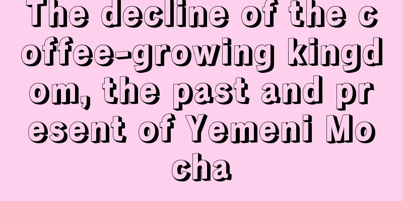 The decline of the coffee-growing kingdom, the past and present of Yemeni Mocha