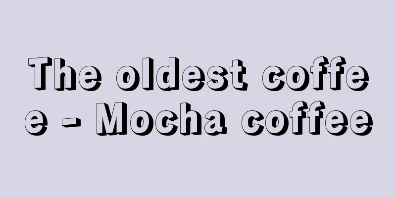 The oldest coffee - Mocha coffee