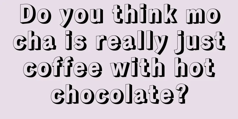 Do you think mocha is really just coffee with hot chocolate?