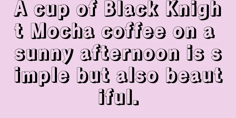 A cup of Black Knight Mocha coffee on a sunny afternoon is simple but also beautiful.