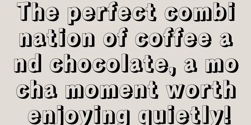 The perfect combination of coffee and chocolate, a mocha moment worth enjoying quietly!