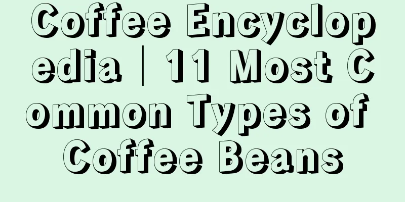 Coffee Encyclopedia│11 Most Common Types of Coffee Beans