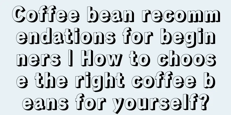 Coffee bean recommendations for beginners | How to choose the right coffee beans for yourself?