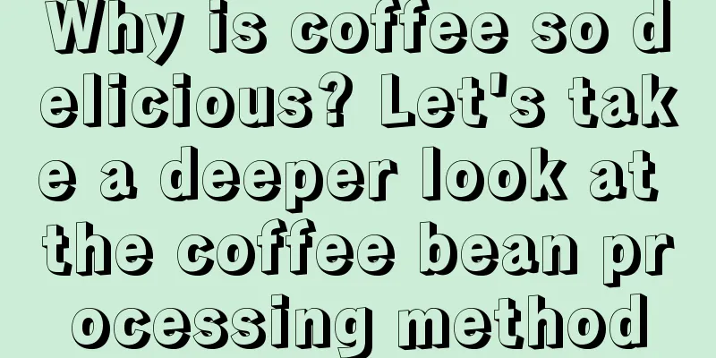 Why is coffee so delicious? Let's take a deeper look at the coffee bean processing method