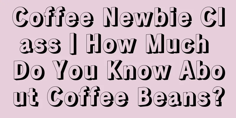 Coffee Newbie Class丨How Much Do You Know About Coffee Beans?