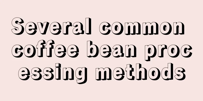 Several common coffee bean processing methods