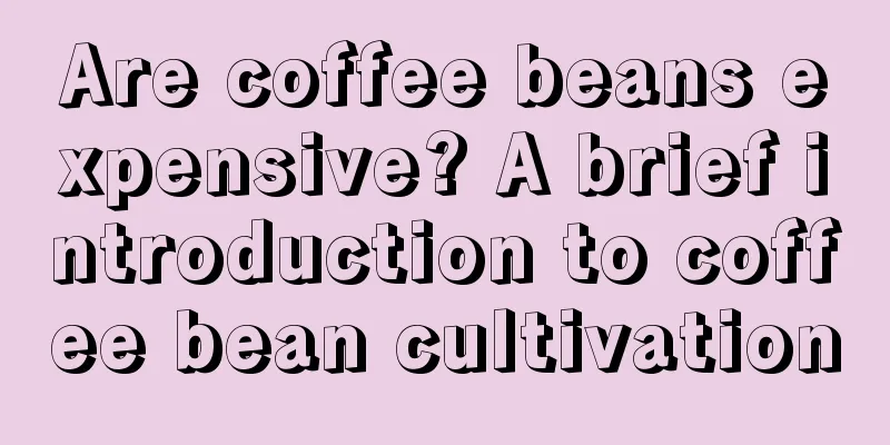 Are coffee beans expensive? A brief introduction to coffee bean cultivation