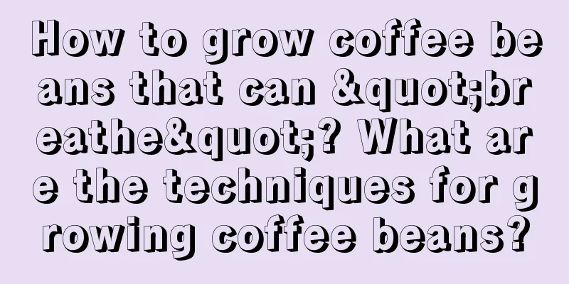 How to grow coffee beans that can "breathe"? What are the techniques for growing coffee beans?