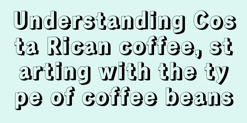 Understanding Costa Rican coffee, starting with the type of coffee beans