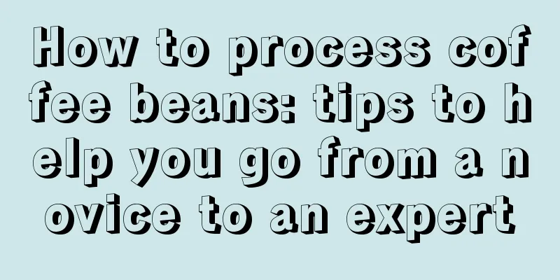 How to process coffee beans: tips to help you go from a novice to an expert