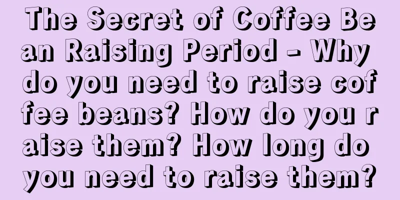 The Secret of Coffee Bean Raising Period - Why do you need to raise coffee beans? How do you raise them? How long do you need to raise them?