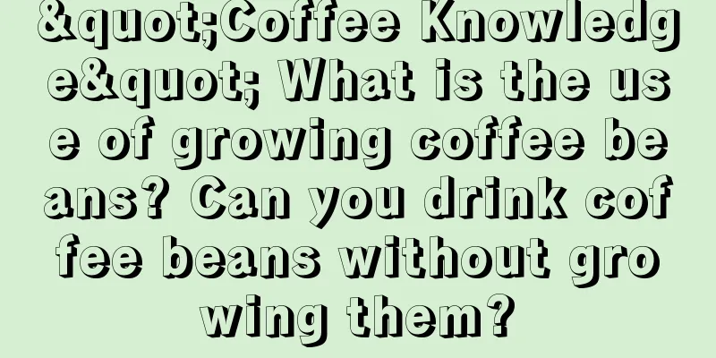 "Coffee Knowledge" What is the use of growing coffee beans? Can you drink coffee beans without growing them?