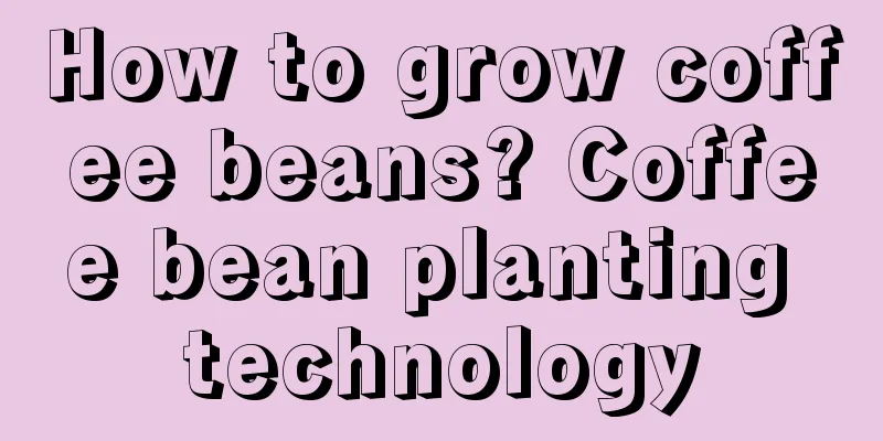 How to grow coffee beans? Coffee bean planting technology