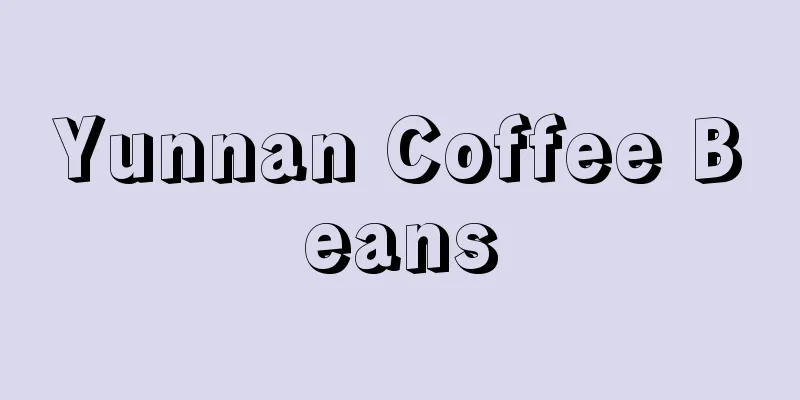 Yunnan Coffee Beans