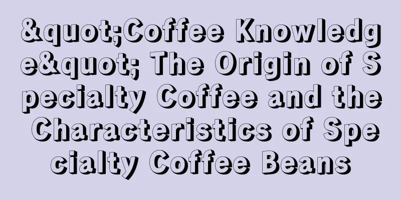 "Coffee Knowledge" The Origin of Specialty Coffee and the Characteristics of Specialty Coffee Beans