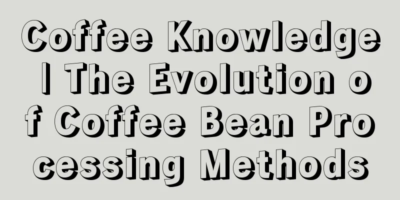 Coffee Knowledge | The Evolution of Coffee Bean Processing Methods