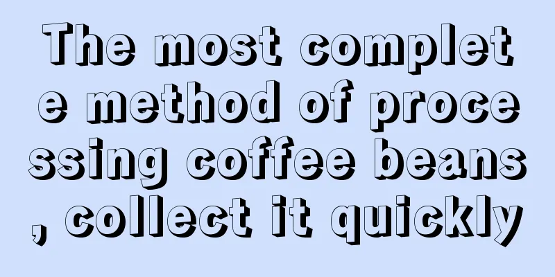 The most complete method of processing coffee beans, collect it quickly