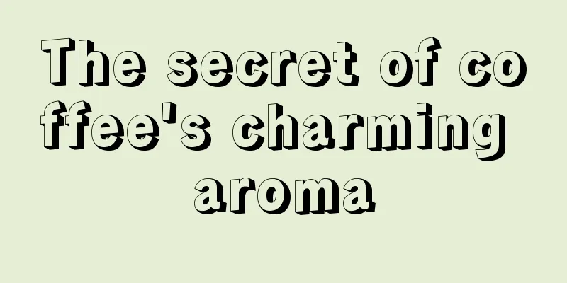 The secret of coffee's charming aroma